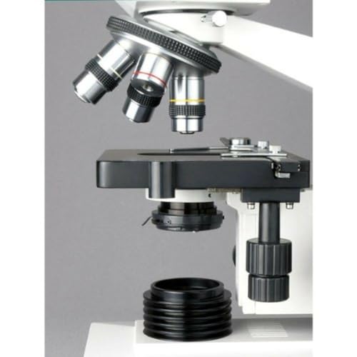Image of AmScope B490B-LED Compound Binocular Microscope, WF10x and WF20x