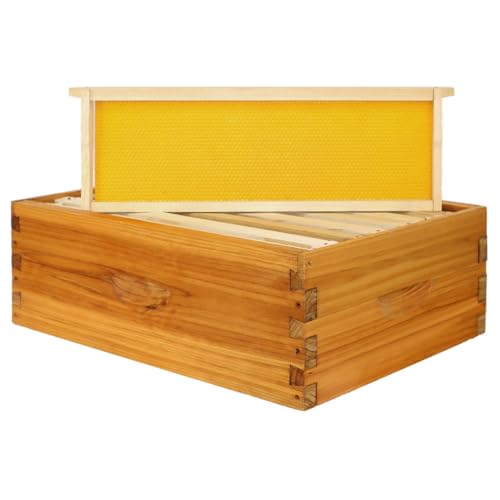 POLLIBEE Super Bee Box mit 8 Rahmen, mittelgroß, zusammenbauen, Bienenstockbox, getaucht in 100% Bienenwachs, inklusive Bienenstockrahmen und Bienenstock-Foundation