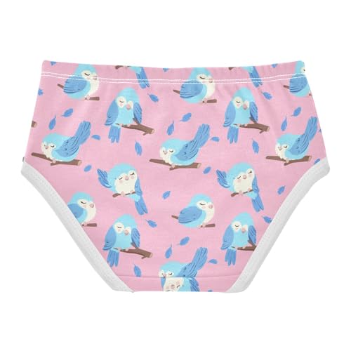 Girls' Underwear Birds Cotton Stretch Comfort Toddler Panties2