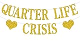 Quarter Life Crisis Banner, Fun 25 Years Old Birthday Anniversary Bunting Sign, Happy 25th Birthday Party Decoration Supplies, Gold Glitter