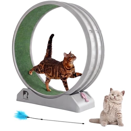 RYpetmia Cat Wheel