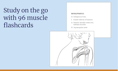 Anatomy Coloring Book with Quizzes