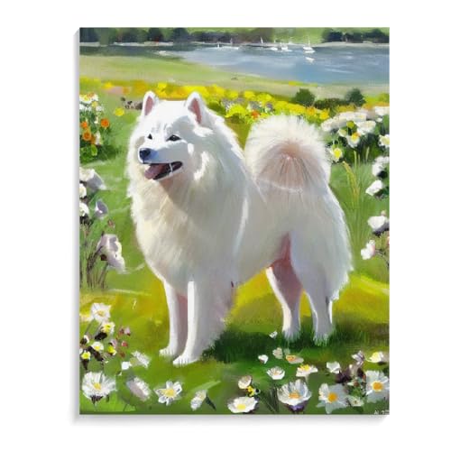 Paint by Numbers for Adults Beginners Samoyed Dog Gift Birthday Anniversary or Any Festival. DIY Acrylic Painting Kit for Room Decor Canvas 12x16inch(30x40cm) Frameless