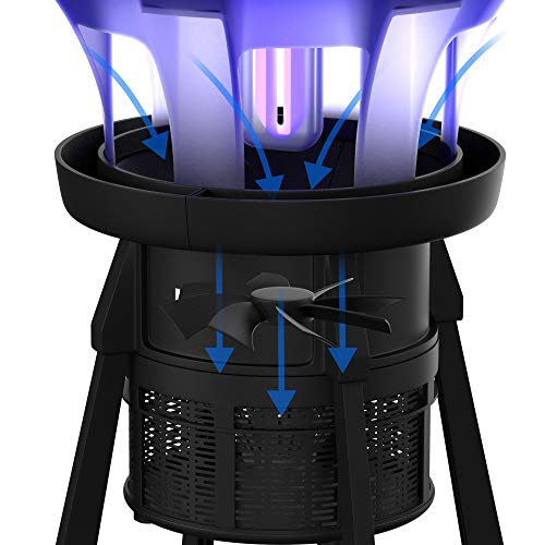 https://m.media-amazon.com/images/I/41vkFC-R4qL._SL500_.jpg