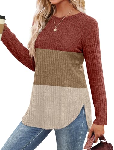 Image of Saloogoe Long Sleeve Shirts for Women 2025 Fall Clothes Tunic Tops Loose Fit Dressy Crewneck Pullover Sweaters Curved Hem