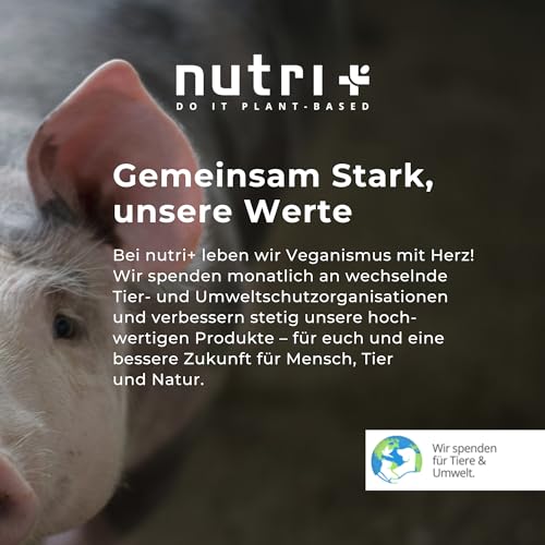 Nutri + Protein Proben Set (8x 30 g) - Vegan Proteinpulver Mix Probier Set - 3k Eiweißpulver Probierpaket - Mix Probierpack - Eiweiß Probierset