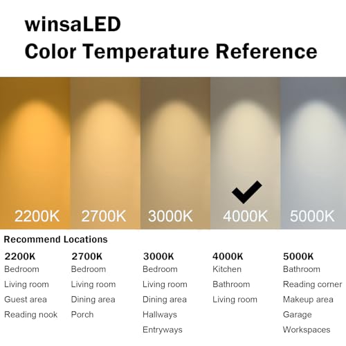 winsaLED Pacote de 16 Lâmpadas Led Edison Equivalente A 40 W, Lâmpada de Filamento Led Regulável de