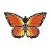WindNSun Monarch Butterfly Nylon Kite, 32"