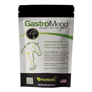 GastroMend® Gastrointestinal Health Supplement for Horses, 100% Natural, Promotes Stomach and Gut Health in Equines, Cost-Effective Digestive Wellness, 60 Servings per Pouch, Made in The USA