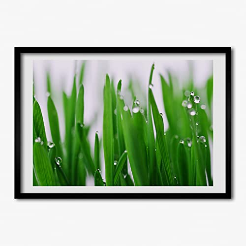 Tableau de lames d'herbe sous cadre en bois 70x50 cm pour salon moderne