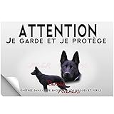 Stick Attention au chien berger allemand noir