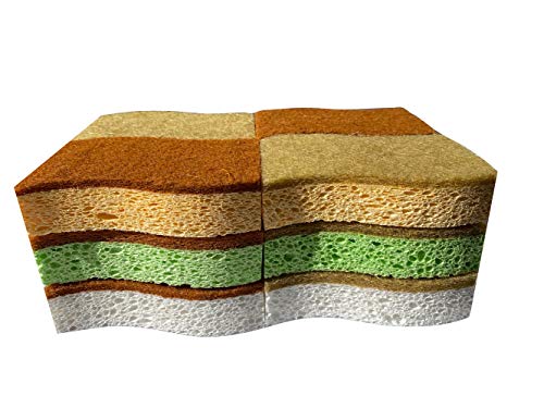 Eco sponges 6 Types Natural Plant Based Scrub Sponge 12 Pack Palm Fiber Scrubbing Sponge with Non Scratch Compostable Sponges Durable No Odor Kitchen Scrubber Eco Friendly Kitchen sponges