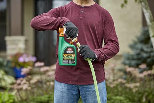 Image of Ortho WeedClear Lawn Weed Killer Ready-to-Spray, Kills Crabgrass, Dandelion and Clover, Hose-End Application, 32 fl. oz., 2-Pack