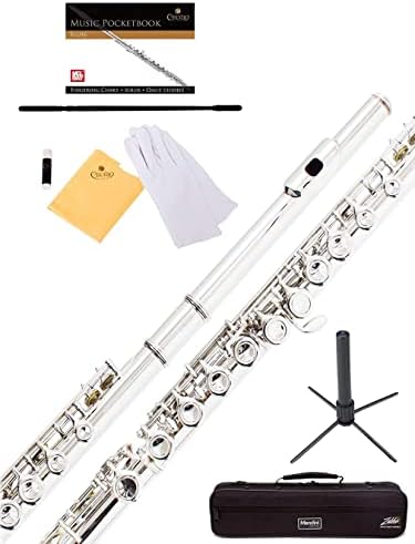 Mendini By Cecilio Flutes - Closed Hole C Flute For Beginners, 16-Key Flute with a Case, Stand, Lesson Book, and Cleaning Kit, Musical Instrument for Kids, Nickel Plated