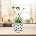 hypehouse Allen + roth 8 in. Orchid Pot with Saucer White