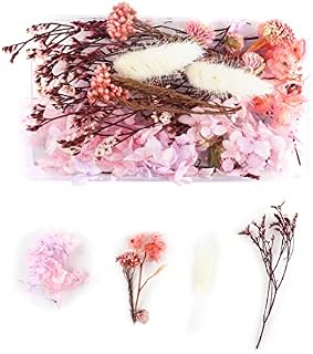 Tomedeks Natural Dried Flowers Dried Embossed DIY Preserved Flowers Resin Jewelry Nails Crafts Scrapbooking Floral Decor (H)