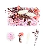 Tomedeks Trockenblumen Deko Trockenblumen Zum Basteln Getrocknete Blumen Schleierkraut Getrocknet Natürliche getrocknete Blumen getrocknete geprägte DIY-konservierte Blumen Blumendekor(E)