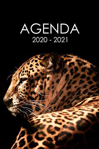 Télécharger Agenda 2020 - 2021: Agenda scolaire léopard tigre félin lion animal pour étudiants Collège et Ly PDF Ebook En Ligne