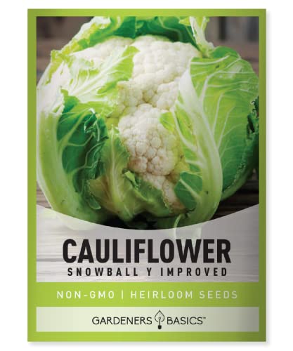 Gardeners Basics Cauliflower Seeds for Planting - (Snowball Y Imp...