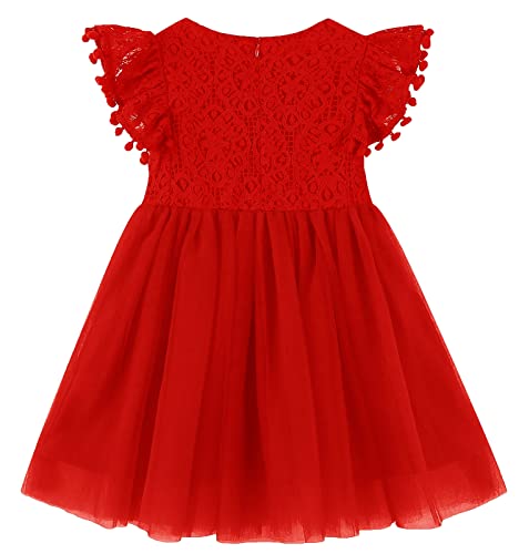 Image of Toddler Girls Lace Tulle Dress Baby Girl Elegant Flutter Sleeve Party Princess Dresses