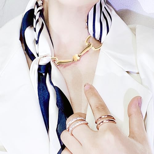 YLYSLFC 2Pcs Simple and Elegant Horsebit Silk Scarf Buckle Ring Scarf Rings for Women2