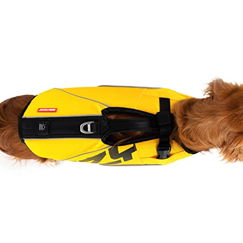 DFDブーストの商品画像