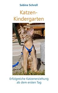 Katzen-Kindergarten