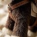 Imagen de Caballo de Peluche