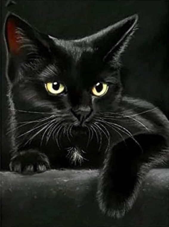 XFENDOUDOU Canevas Kit Complet Adulte Debutant Point De Croix Chat noir DIY Point de Croix Kit de Broderie （40x50cm ）