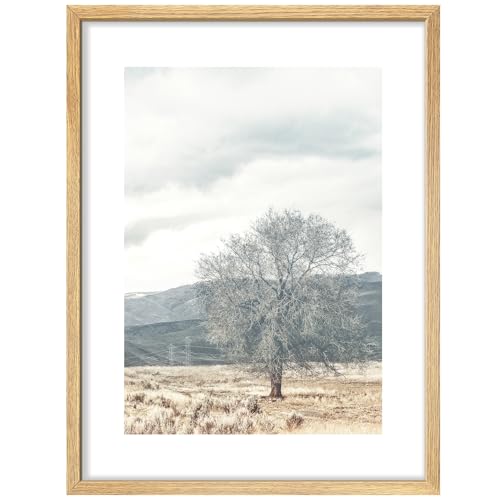 SIGNWIN Framed Poster Lonely Tree in Field Tranquil Nature Scene with Cloudy Sky Illustrations Nature Wilderness Minimalist Decorative for Living Room, Bedroom, Office - 11"x14" Natural