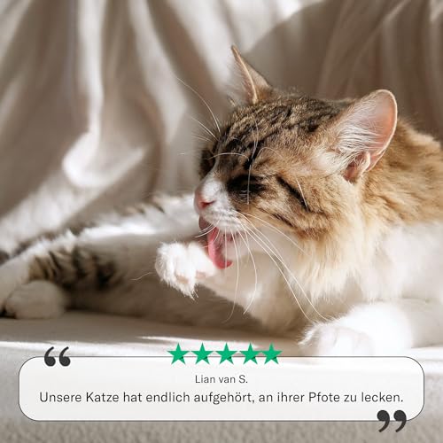 Sensipharm Bitterspray Hund & Katze 100ml – Anti Kau Spray gegen Lecken an Wunden & Verbänden – Bitterstoff Spray für Möbel, Kabel & Textilien – alkoholfrei