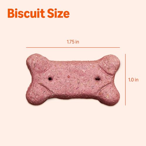Image of Amazon Basics Crunchy Dog Biscuits Multi Flavor Dog Treats 5 lb. Box