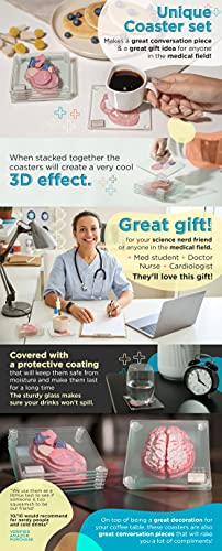 El mejor review de Juego anatomía al mejor precio. 11 Imagen adicional
