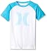 Hurley Boys' Icon Short Sleeve Raglan