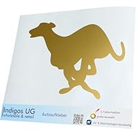 INDIGOS UG Adesivo per auto – JDM – Die Cut – Auto – 200 x 133 mm – Levriero – Oro – lunotto posteriore – Adesivi – Tuning
