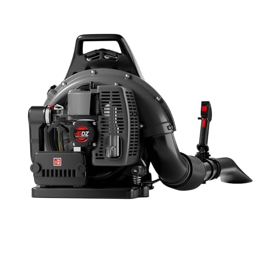 TDH 63CC Gas Backpack Leaf Blower