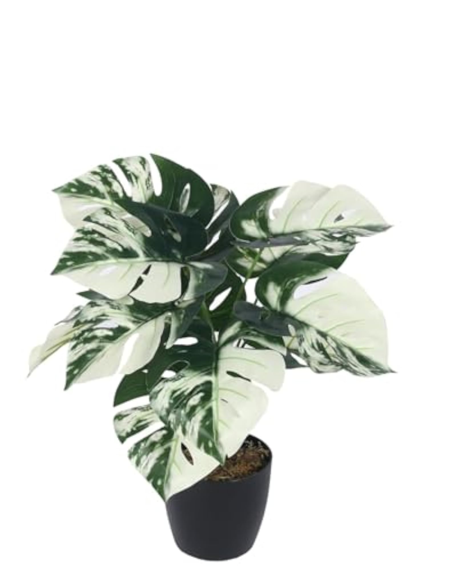 Artificial Monstera Plant with White Ceramic Pot, 10 Inch