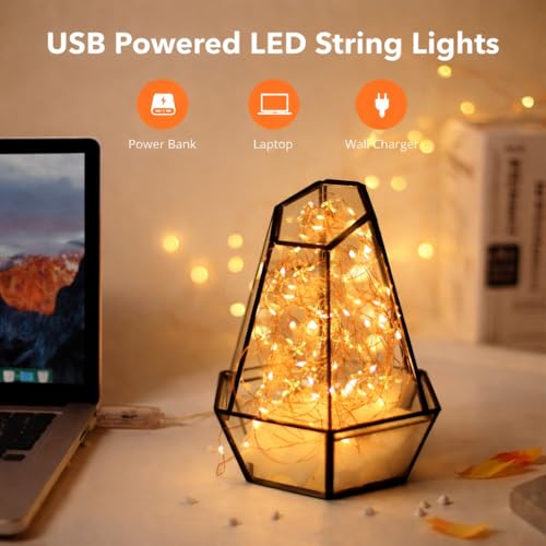 Image of Lexton 10 m Led Copper String Light | USB Sourced | Warm White | for Indoor & Outdoor Decorations, Diwali, Christmas, Wedding, Party, Lawn | Pack of 6