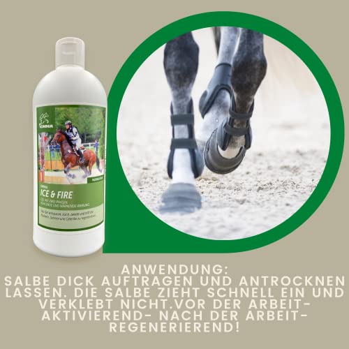 EMMA Kühlgel & Wärmegel Pferd 500 ml – Arnika Gel hochkonzentriert mit Menthol – Pferdebalsam für Sehnen, Bänder, Gelenke & Muskeln – kühlend & wärmend bei Verspannungen