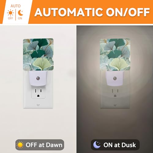 Image of Green Ginkgo Leaves Dusk to Dawn Night Light, Auto Sensor Lamp Home Indoor Stairway Kitchen Corridor, Night Lights Plug into Wall Decor, Boys Girls Women Men Room Gifts