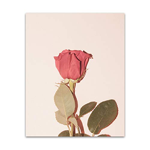 Affiche fleur rose Morandi pour salon élégant | Lot de 2 toiles 40x60cm - 2