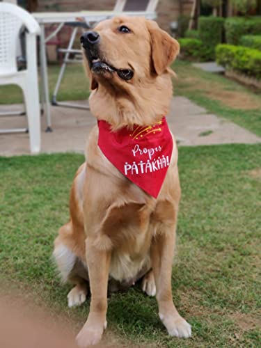 Image of Quirky Dog Bandana: Proper Patakha Bandana for Pets | Easy to Wear Slip On Dog Bandana