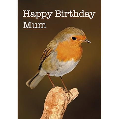 Happy Birthday Mum Robin Bird Card 125mm x 178mm Including Envelope DG084 Cover