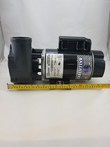 Waterway Plastics 3420820-1A Pump, 230V #TOP3