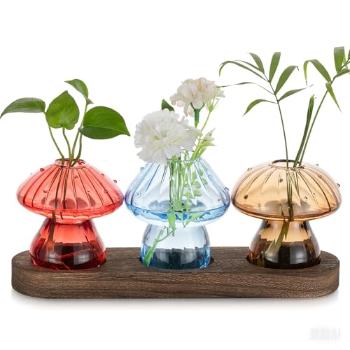 Hewory Pilz Deko Vase Glas: 3er Kleine Vasen für Tischdeko - Süßes Fliegenpilz Deko Terrarium Glas Propagation Station mit Holztablett - Ästhetik Mini Vasen Bunt Geschenke für Frauen Deko Wohnzimmer