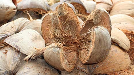 See full amazon price history chart for Organics Natural Coconut Husk Coir Fiber 100% Pure (1 kg) Organics Natural Coconut Husk Coir Fiber 100% Pure (1 kg) (B08K4RXRBP) Amazon Price History, Amazon Price Tracker