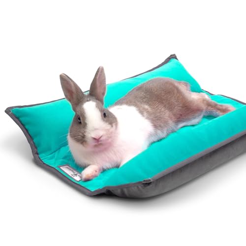 π°π€ 10 Best Beds for Bunnies For 2025 1 Paw Inspired Snuggle Bunny Bed for Rabbits, Cats, Dogs and Other Small Pets and Animals | Reversible Fleece Bedding with Padded Sides (Gray/Green)