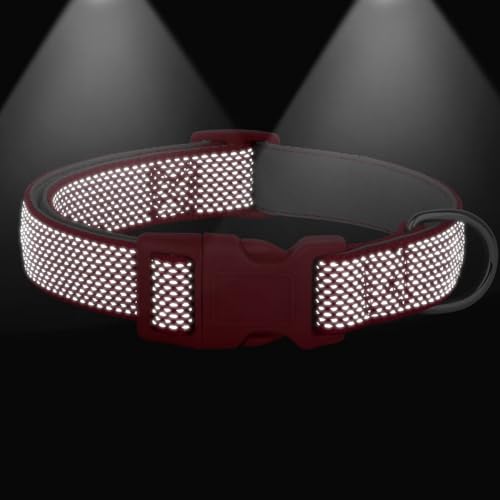 Didog Reflektierendes Hundehalsband mit Schnalle, verstellbar, weiches Neopren, gepolstert, Nylon, Haustierhalsbänder für kleine, mittelgroße und große Hunde, Rot, M