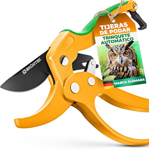 GRÜNTEK Tijera Recoletora de podar yunque con Trinquete. Cortarramas Profesional Búho 20.5 cm