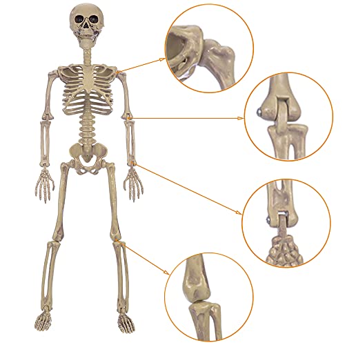 HBSTK 2 Pack 40 Inches Halloween Skeleton Full Body Posable Movable Jonints for Halloween Decoration Décor3
